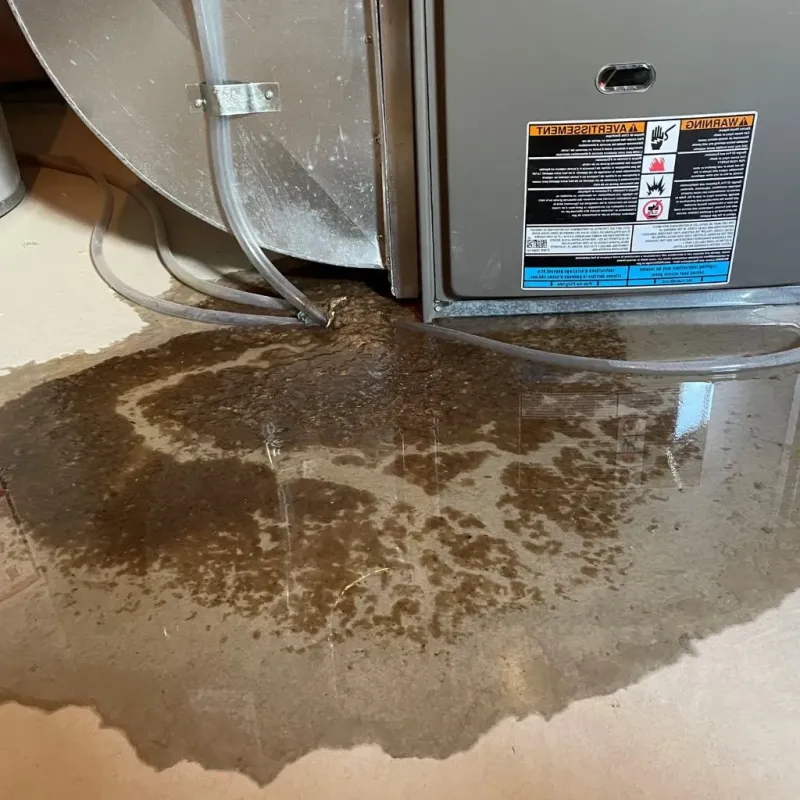 Pipe Burst and Leak Restoration in North El Monte, CA